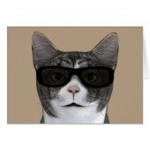 Koude kat met zwarte zonnebril (Voorkant Horizontaal)