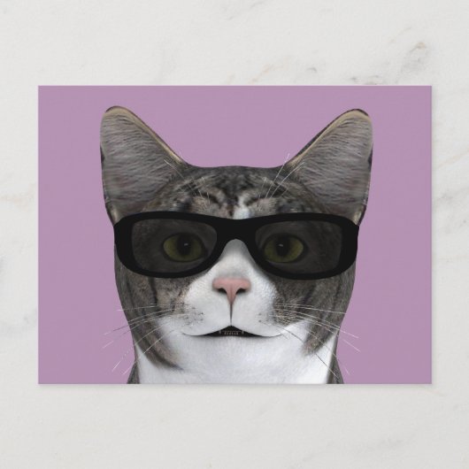 Koude kat met zwarte zonnebril briefkaart (Voorkant)