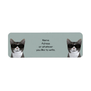 Koude kat met zwarte zonnebril etiket