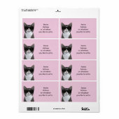 Koude kat met zwarte zonnebril etiket (Full Sheet)