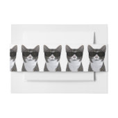Koude kat met zwarte zonnebril uitnodigingen wikkel (Voorkant Voorbeeld)