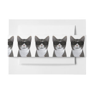 Koude kat met zwarte zonnebril uitnodigingen wikkel