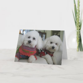 "Koude neuzen, warme harten" - Wenskaart Feestdagen Kaart