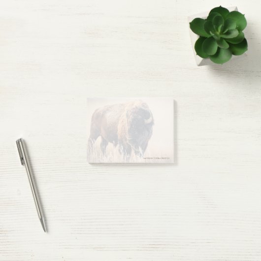 Koude Ochtend - 3" x 4" Post-it Notities Post-it® Notes (Kantoor)