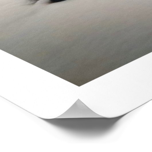 Koude rivier poster (Hoek)