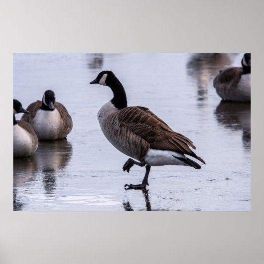 Koude Voeten Poster (Voorkant)