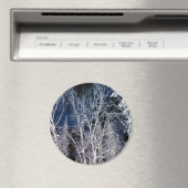 Koude winternacht..... magneet (Insitu (Vaatwasser))