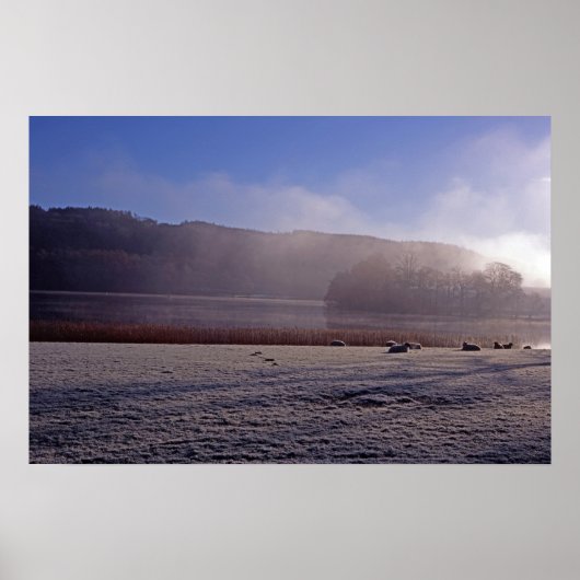 Koude winterochtend Esthwaite Water England Poster (Voorkant)