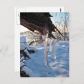 koude winterpictogrammen na eerste sneeuwval storm briefkaart (Voorkant / Achterkant)