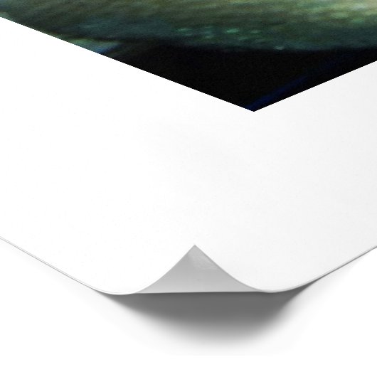 Koudgewalste leerkoraal poster (Hoek)