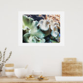 Koudgewalste leerkoraal poster (Keuken)