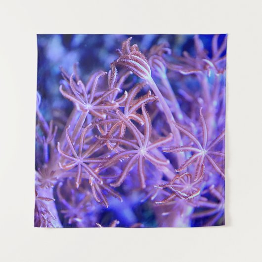 Koudkoraalriffen Wandkleed (Voorkant (horizontaal))