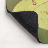 Koudloze zwavelvlinder muismat (Hoek)