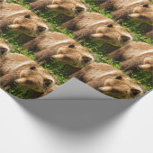 Koudpapier van het Beer Kodiak Cadeaupapier (Hoek)