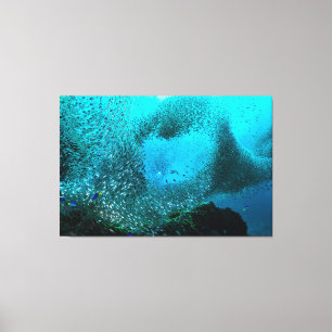 Koudrivissenwolk Canvas Afdruk