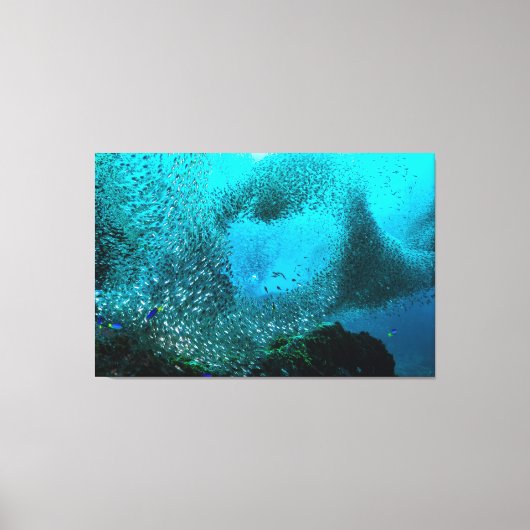 Koudrivissenwolk Canvas Afdruk (Voorkant)