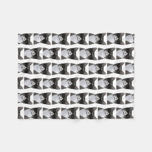 Koudste kat in de stad fleece deken (Voorkant (Horizontaal))