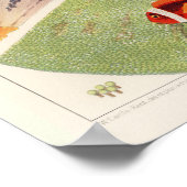  koudvis - Great Barrier Reef Fishes 10 Poster (Hoek)