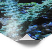 Koudvis in koraal foto afdruk (Hoek)