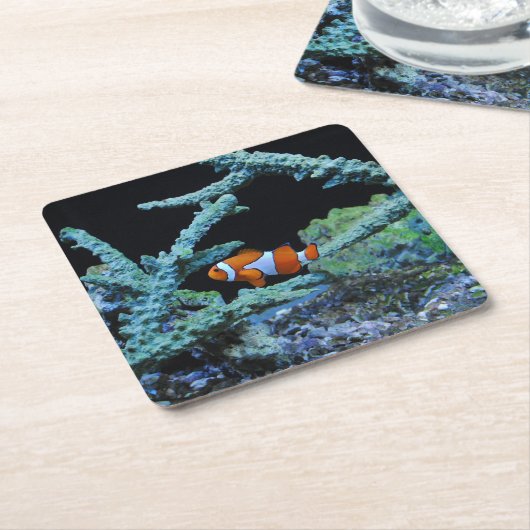 Koudvis in koraal kartonnen onderzetters (Schuin)