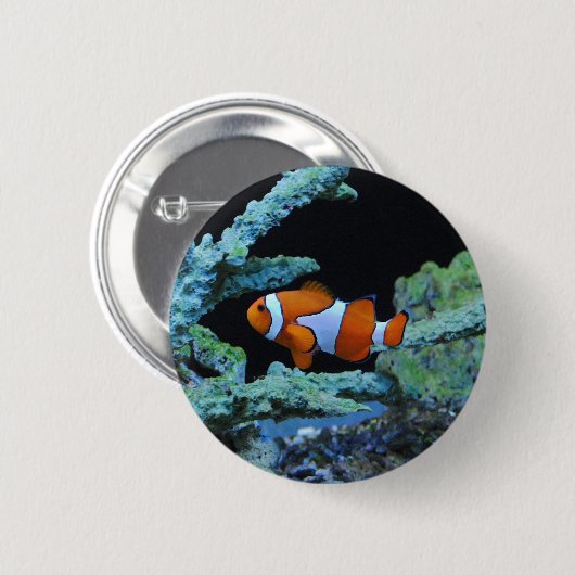 Koudvis in koraal ronde button 5,7 cm (Voorkant /achterkant)