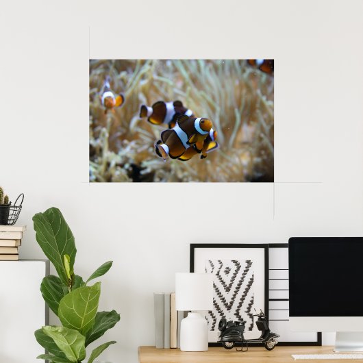 Koudvis in rif poster (Thuiskantoor)