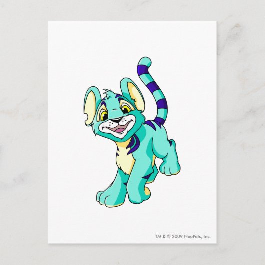Kougra Blue Briefkaart (Voorkant)