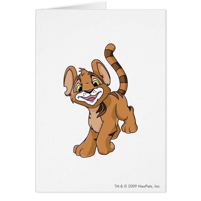 Kougra Brown (Voorkant)