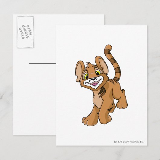 Kougra Brown Briefkaart (Voorkant / Achterkant)