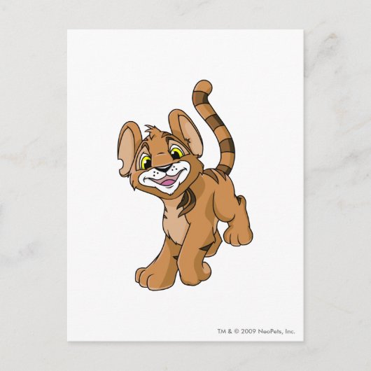 Kougra Brown Briefkaart (Voorkant)