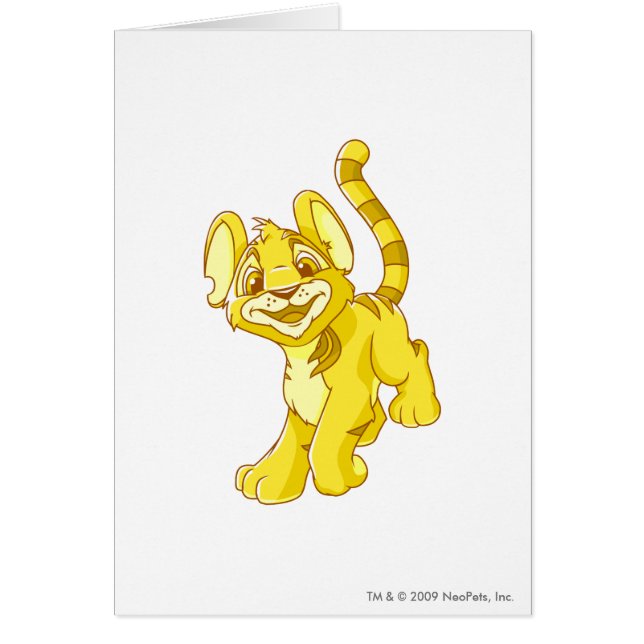 Kougra Gold (Voorkant)