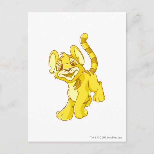 Kougra Gold Briefkaart (Voorkant)