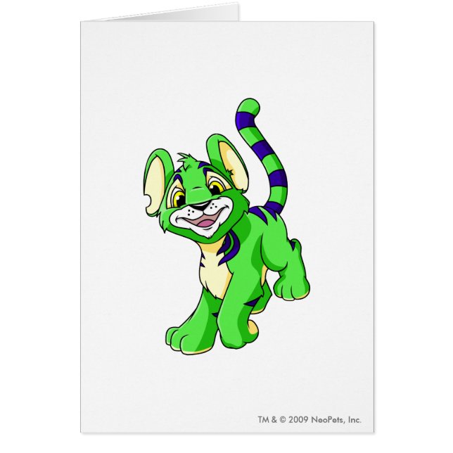 Kougra Groen (Voorkant)