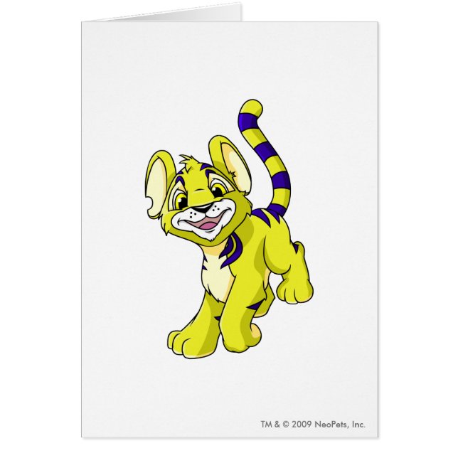 Kougra Yellow (Voorkant)