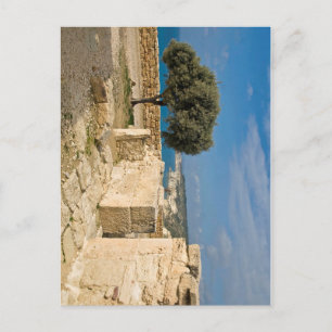 Kourion archeological site, Cyprus Briefkaart