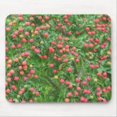 Kousa Dogwood Mousepad Muismat (Voorkant)