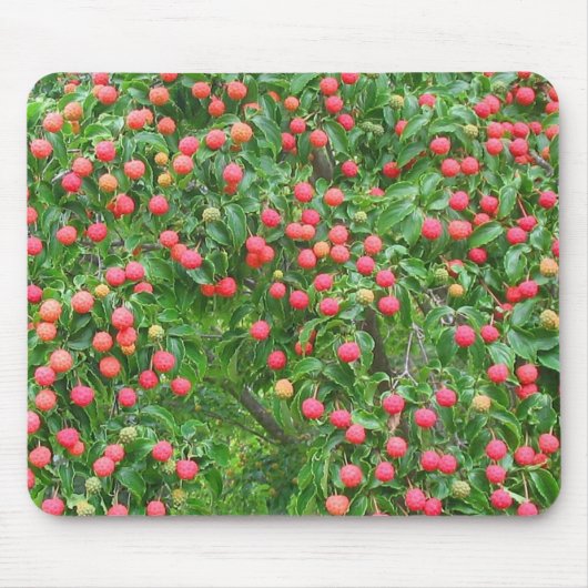 Kousa Dogwood Mousepad Muismat (Voorkant)