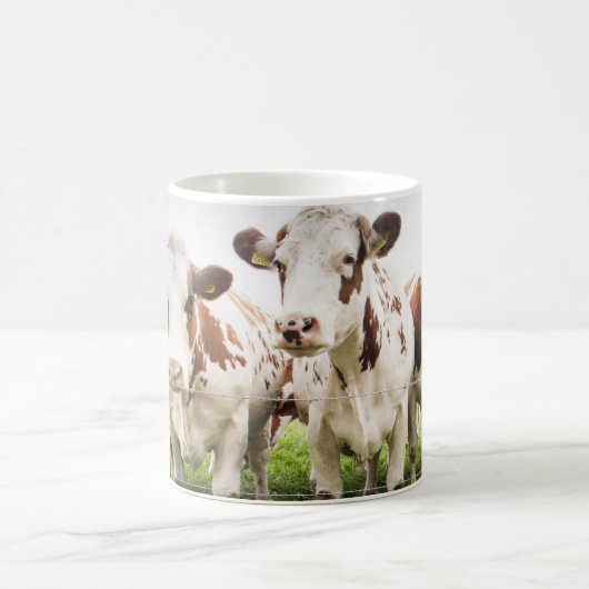 Kow Herd Group Foto Mok (Center)