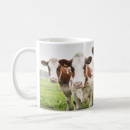 Kow Herd Group Foto Mok (Links)