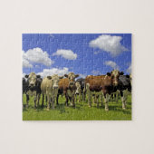 Kow Herd | Nieuw-Zeeland Legpuzzel (Horizontaal)