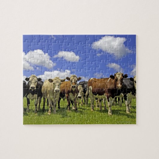 Kow Herd | Nieuw-Zeeland Legpuzzel (Horizontaal)