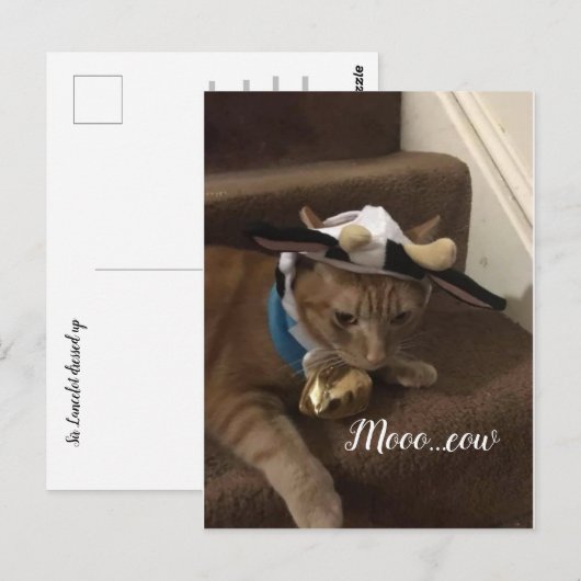 Kow Lancelot Briefkaart (Voorkant / Achterkant)