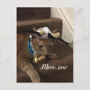 Kow Lancelot Briefkaart