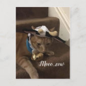 Kow Lancelot Briefkaart (Voorkant)