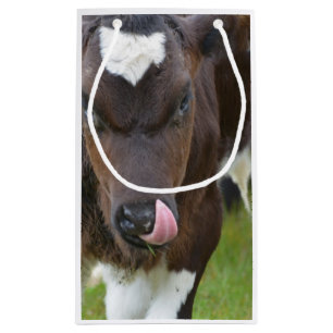 Kow Lick Klein Cadeauzakje