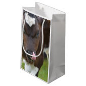 Kow Lick Klein Cadeauzakje (Achterkant Gekanteld)