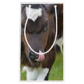 Kow Lick Klein Cadeauzakje (Voorkant)