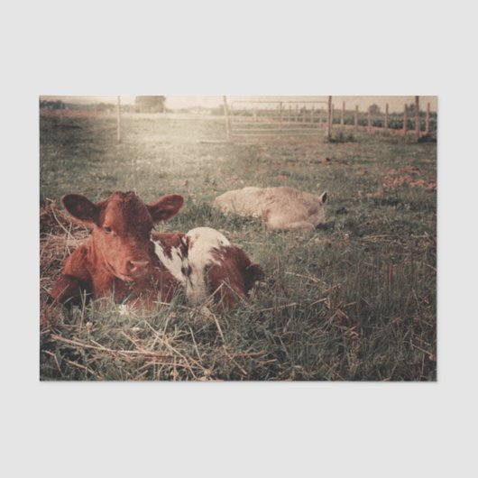 Kow Rustic Country Farmhouse Decoupage Tissuepapier (Voorkant)