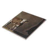 Kow Shadow Tegeltje (Zijkant)