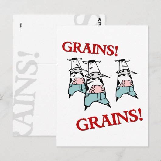 Kow Zombies Briefkaart (Voorkant / Achterkant)